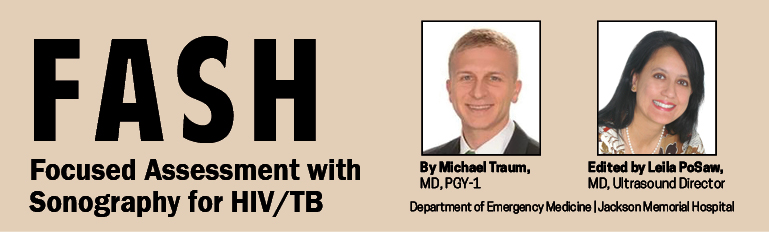 Fash: Focused Assessment with Sonography for HIV/TB. Michael Traum and Leila PoSaw
